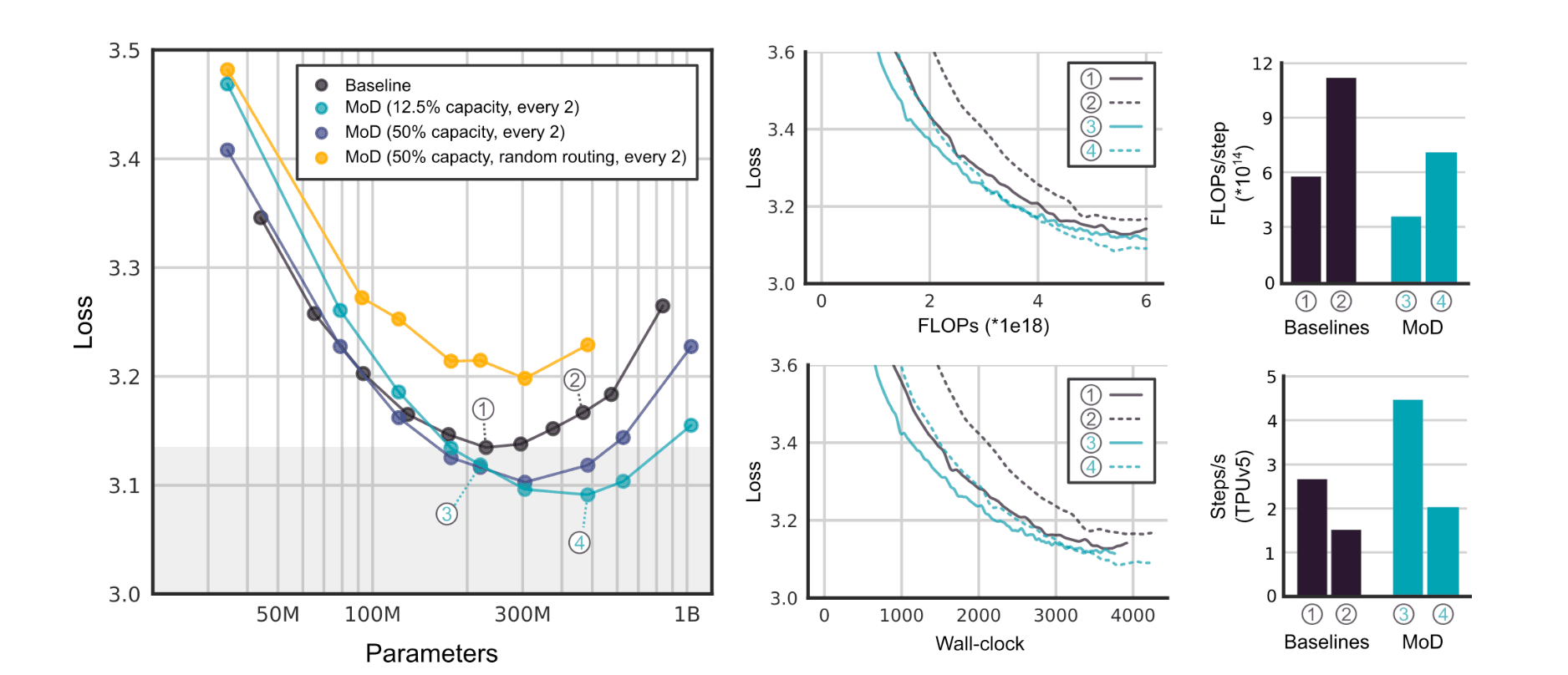 Loss Curves